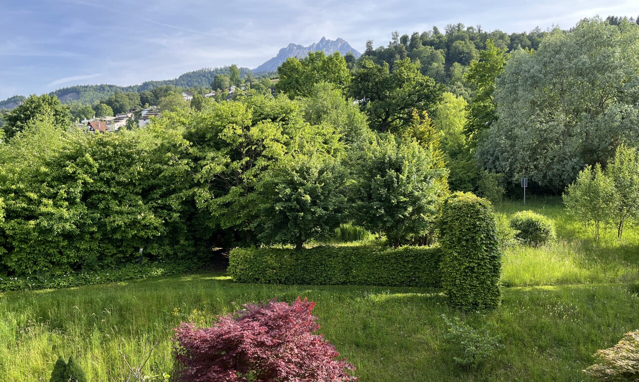 garten mit day time