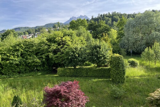 garten mit day time