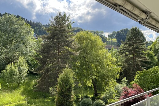 balkon mit from property, day time, forest view, und waldblick