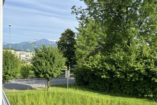 garten mit day time, mountain view, und blick auf die berge