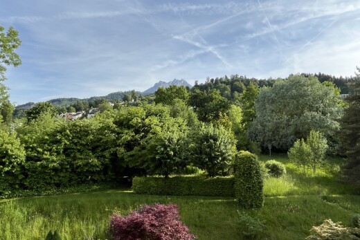 garten mit day time