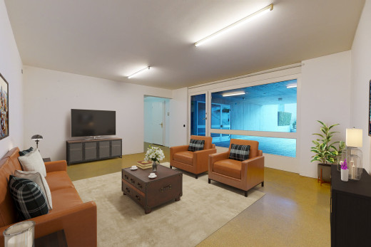 wohnzimmer mit teppich, natürlichem licht und fernseher