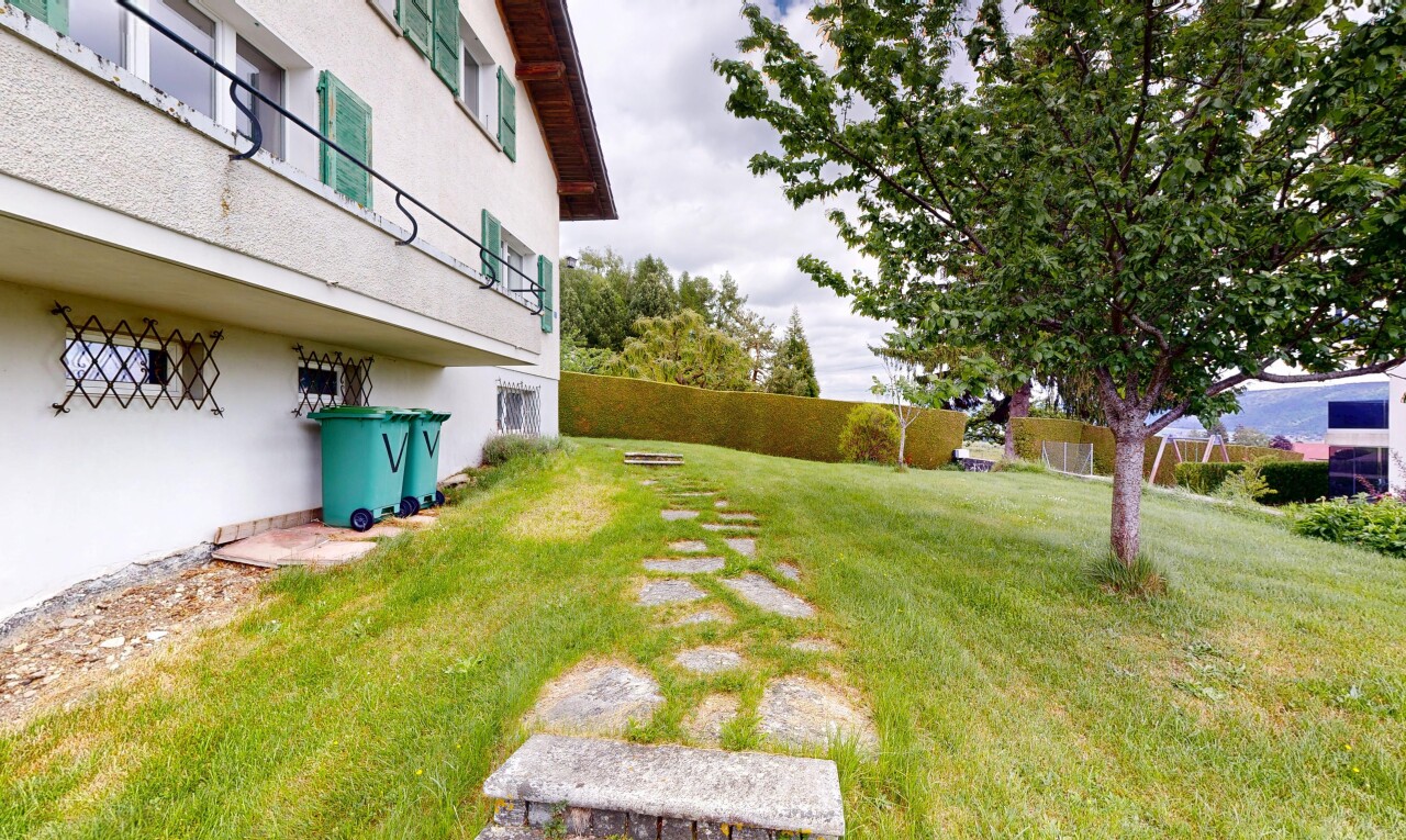 jardin avec pelouse et overcast
