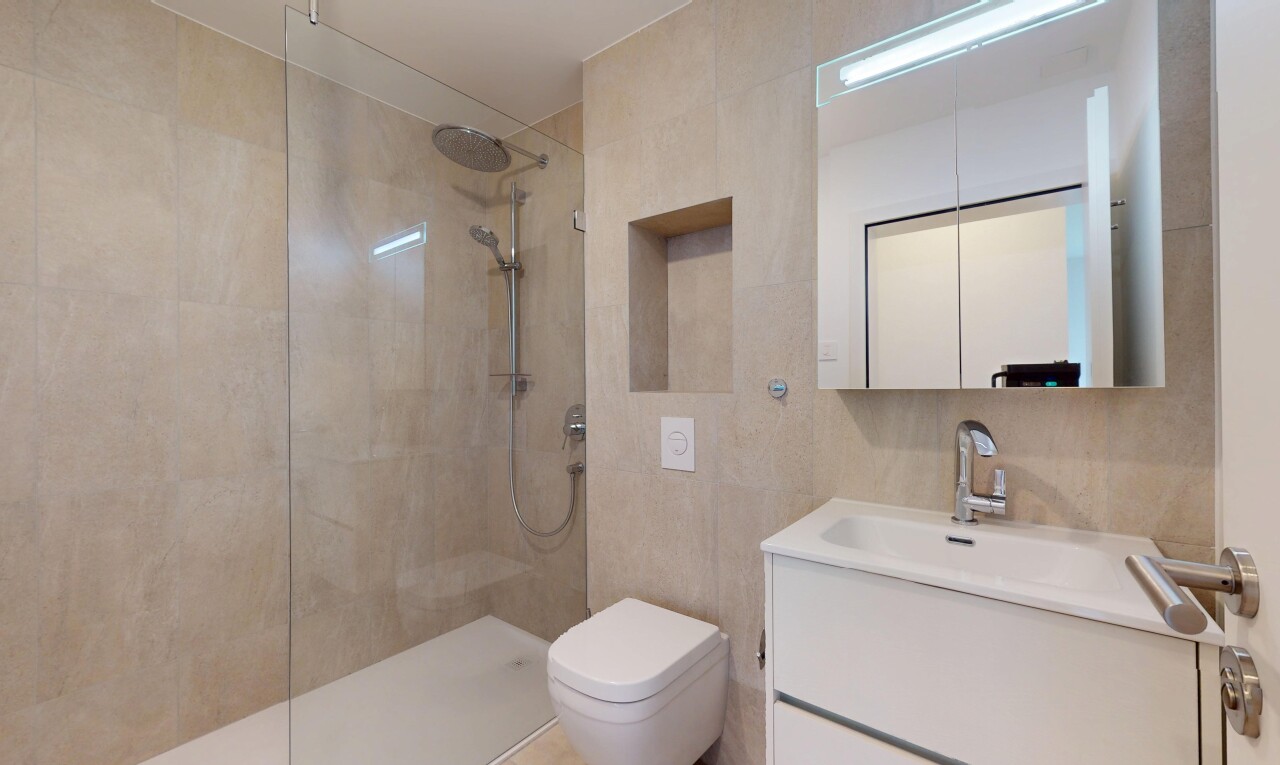 bad mit fliesenwand, tile wall, dusche, schminktisch, und toilette