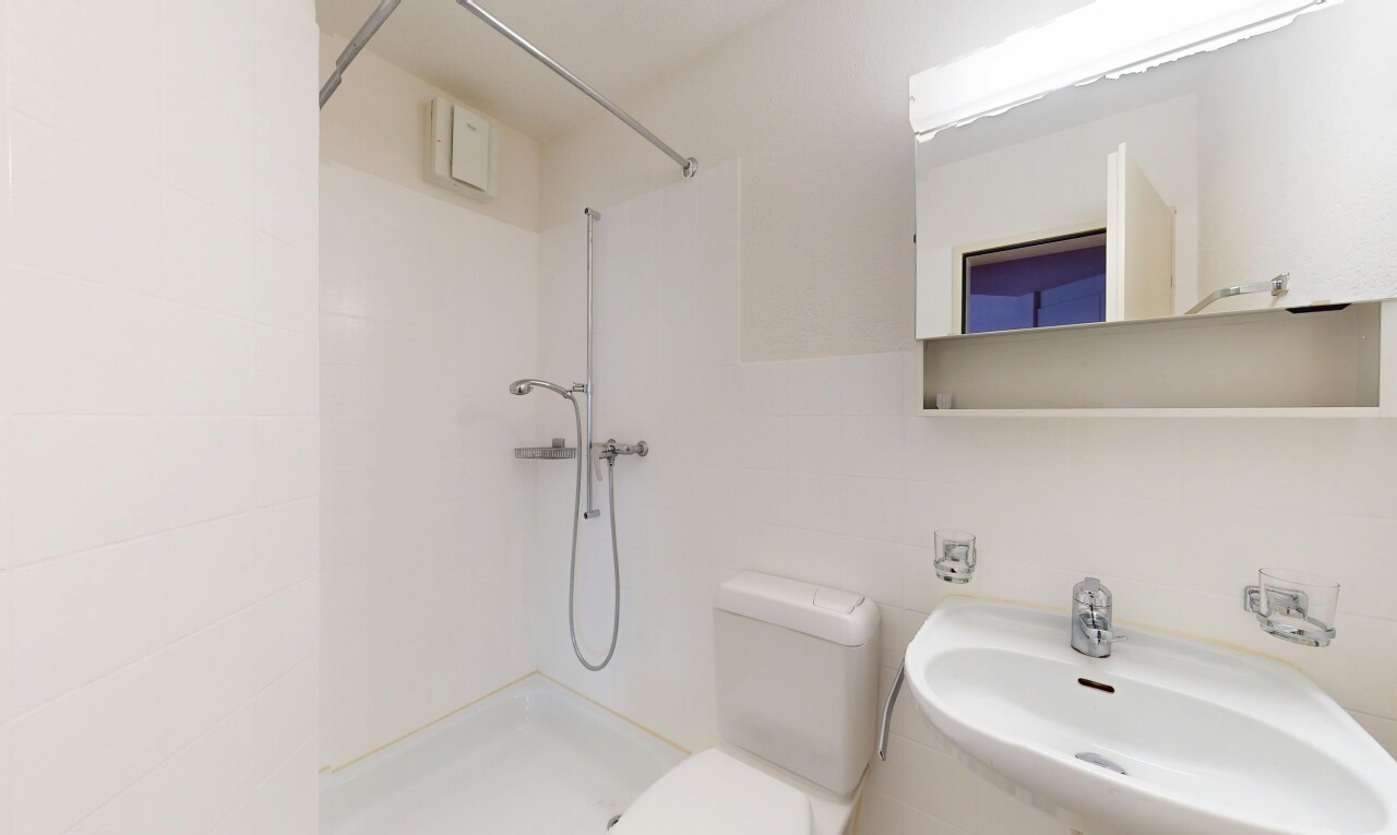 bad mit waschbecken, dusche, spiegel, toilette, und komplettes badezimmer