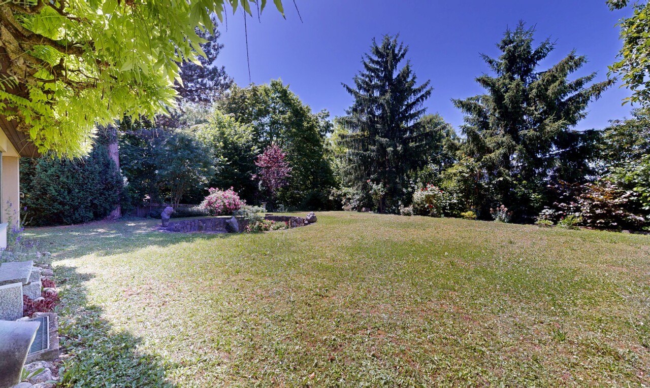 garten mit rasen und day time