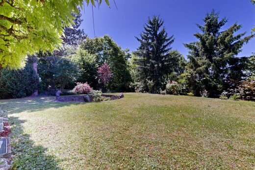 garten mit rasen und day time