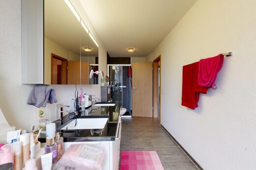 bad mit inside property, spiegel, waschbecken, holzfußboden, und wood finish floor