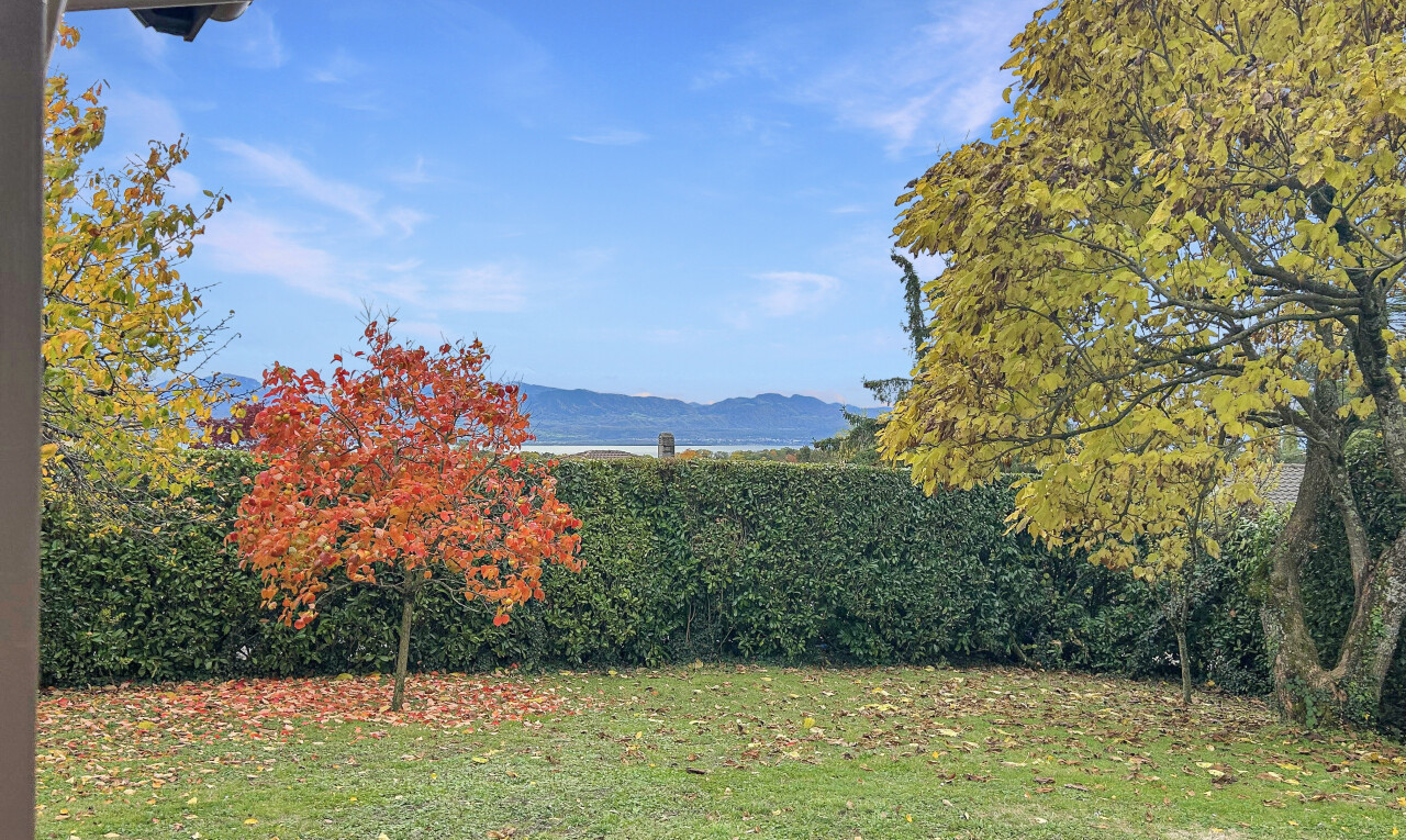 jardin avec pelouse, day time, mountain view, et vue sur la montagne