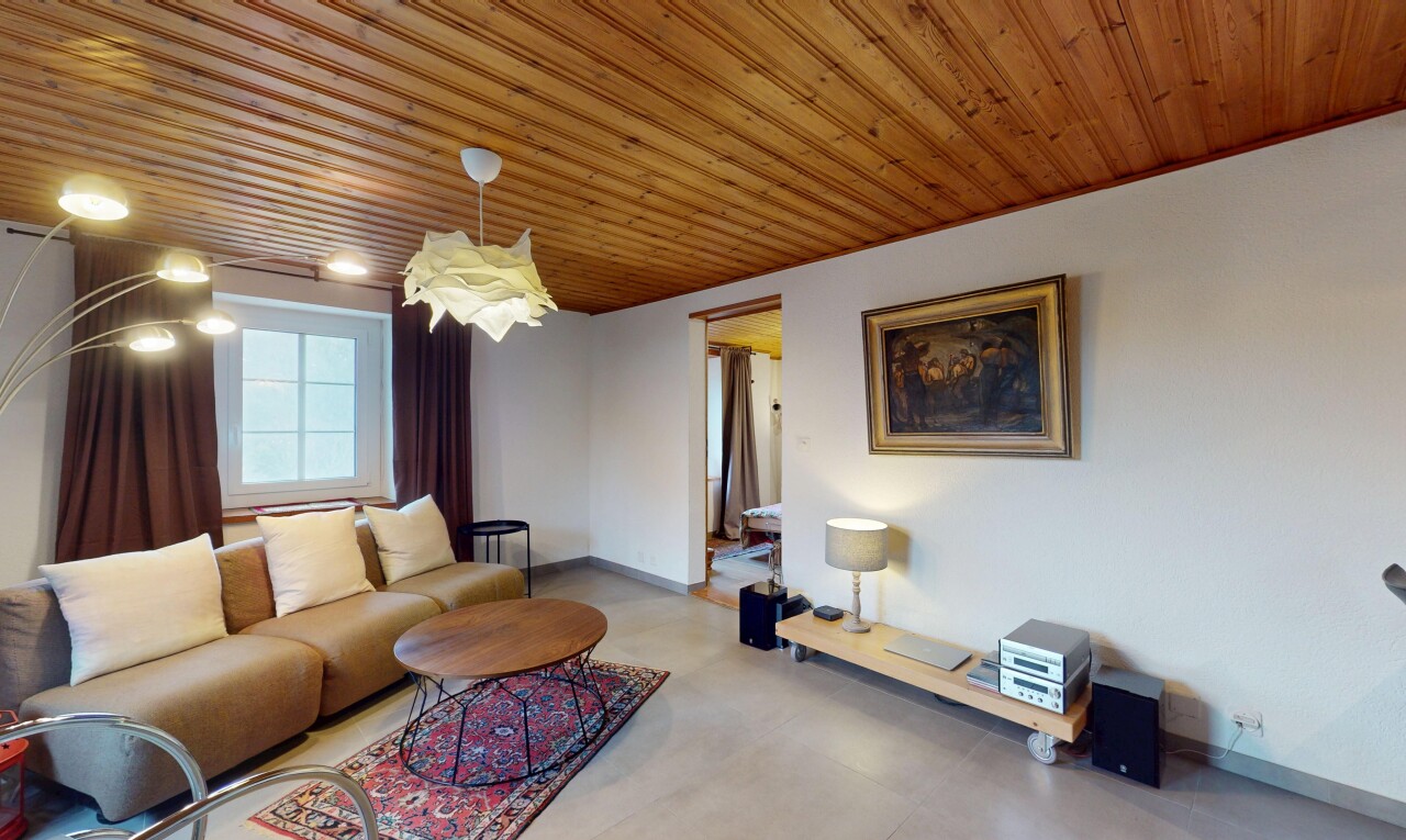 salon avec lumière naturelle, plafond de bois, et sol en béton