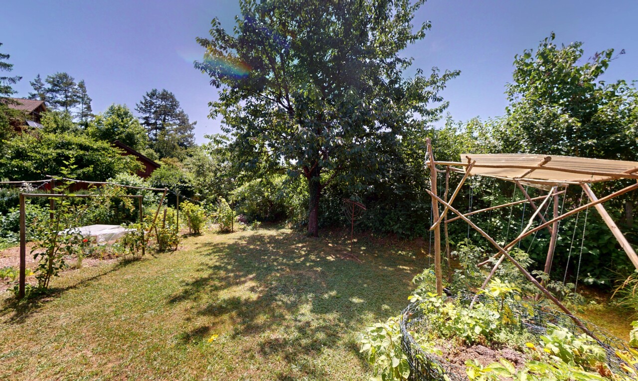 garten mit rasen und day time