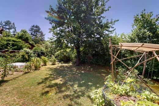 garten mit rasen und day time