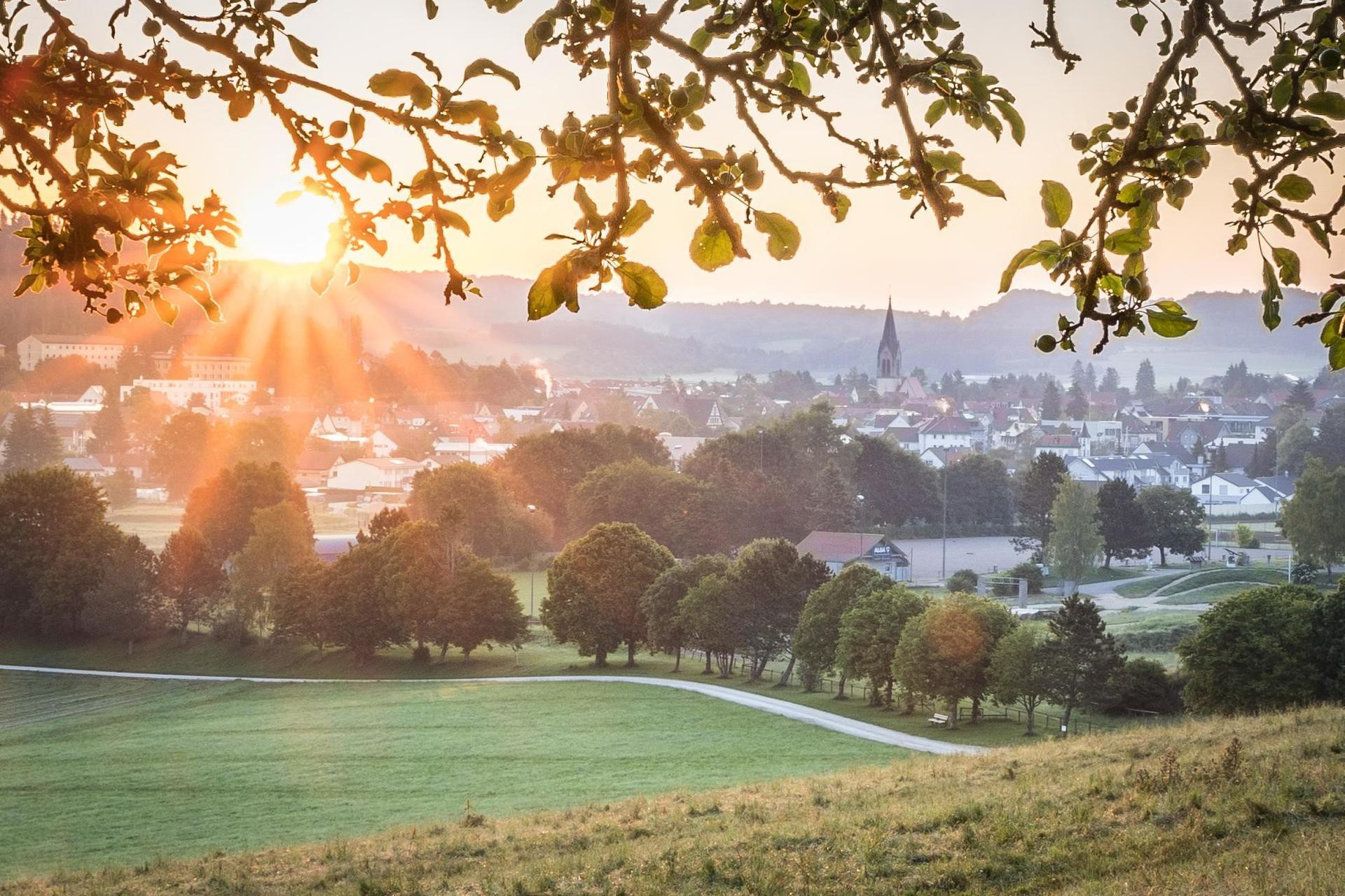 Immobilienmakler Münsingen