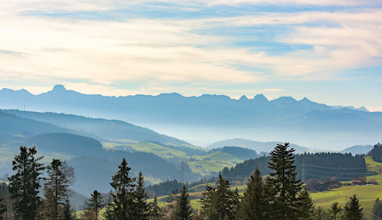 Immobilienmakler Worb