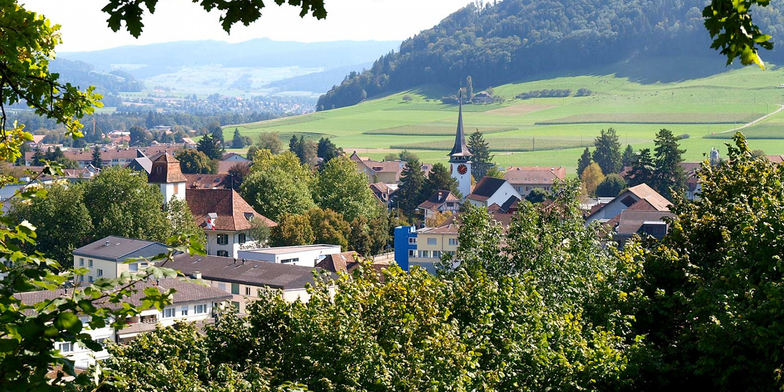 Immobilienmakler Belp