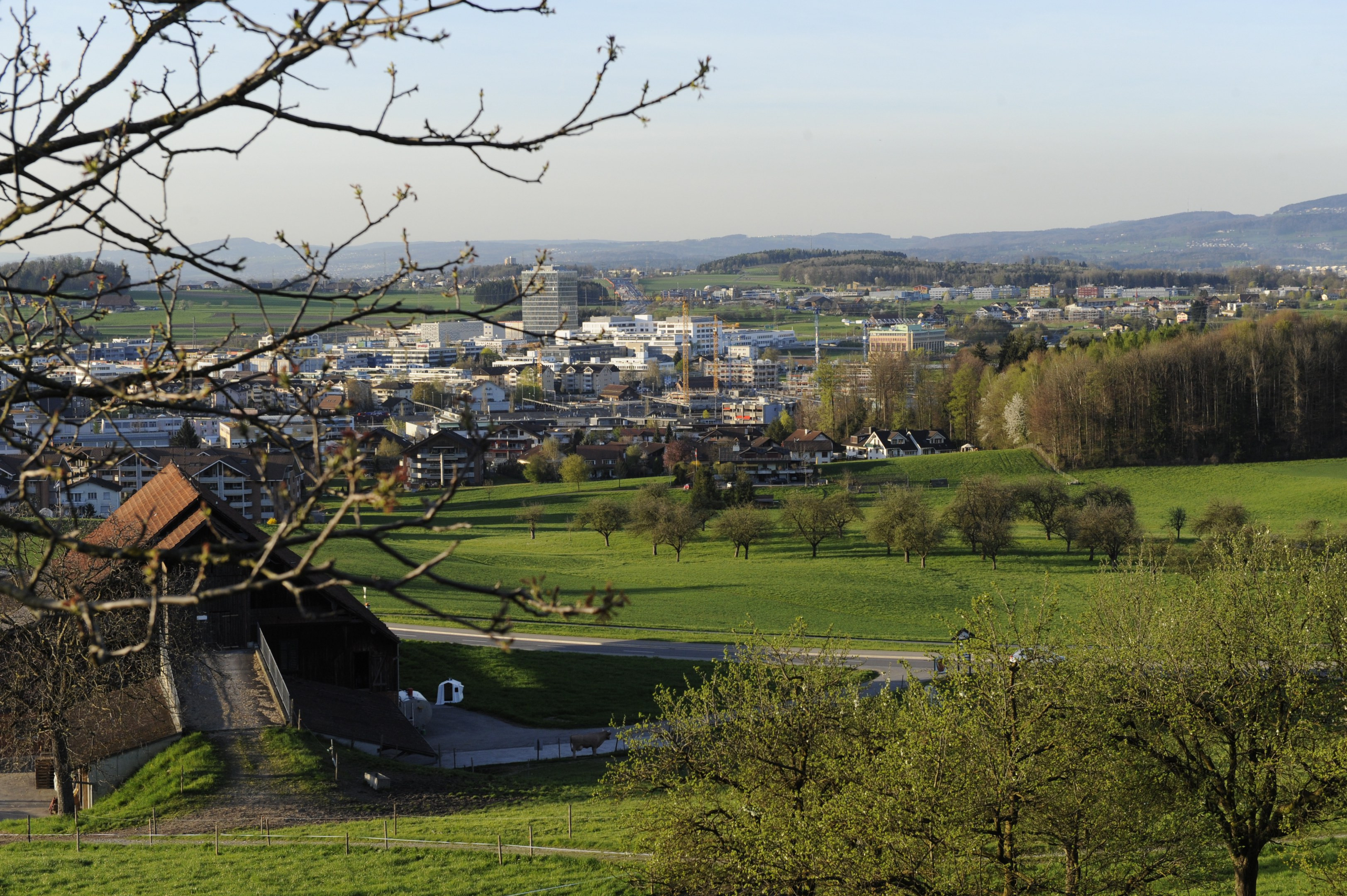 Immobilienmakler Risch