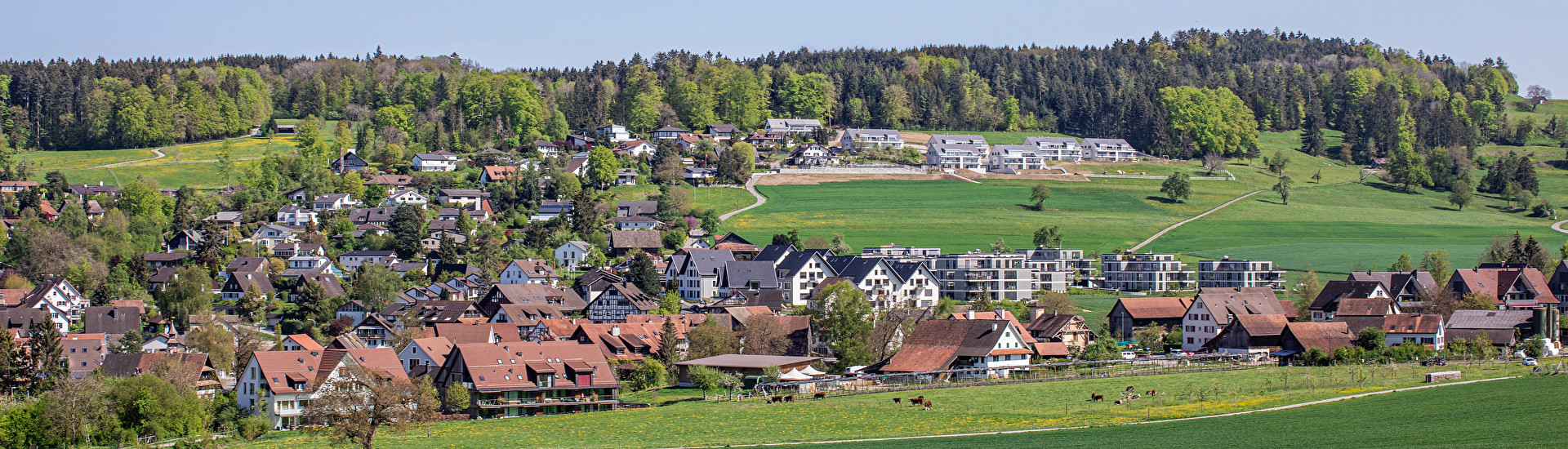 Agence immobilière d'Aesch (BL)