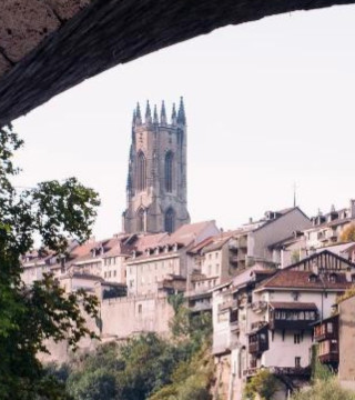 Immobilienmakler Fribourg