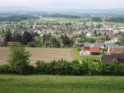 Real Estate Agency Mettmenstetten