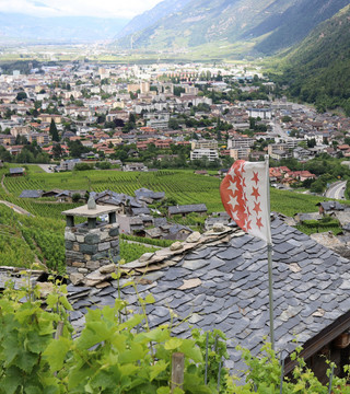 Immobilienmakler Martigny