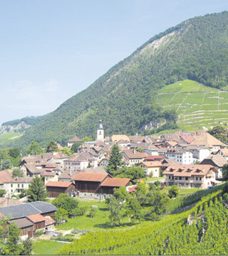 Immobilienmakler Ollon