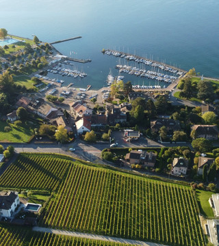 Immobilienmakler Pully