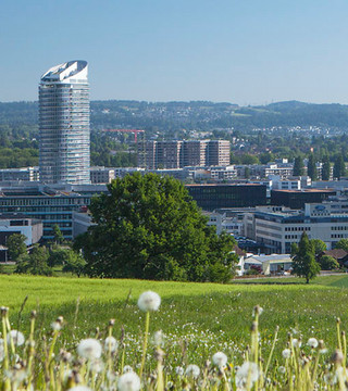 Immobilienmakler Dübendorf