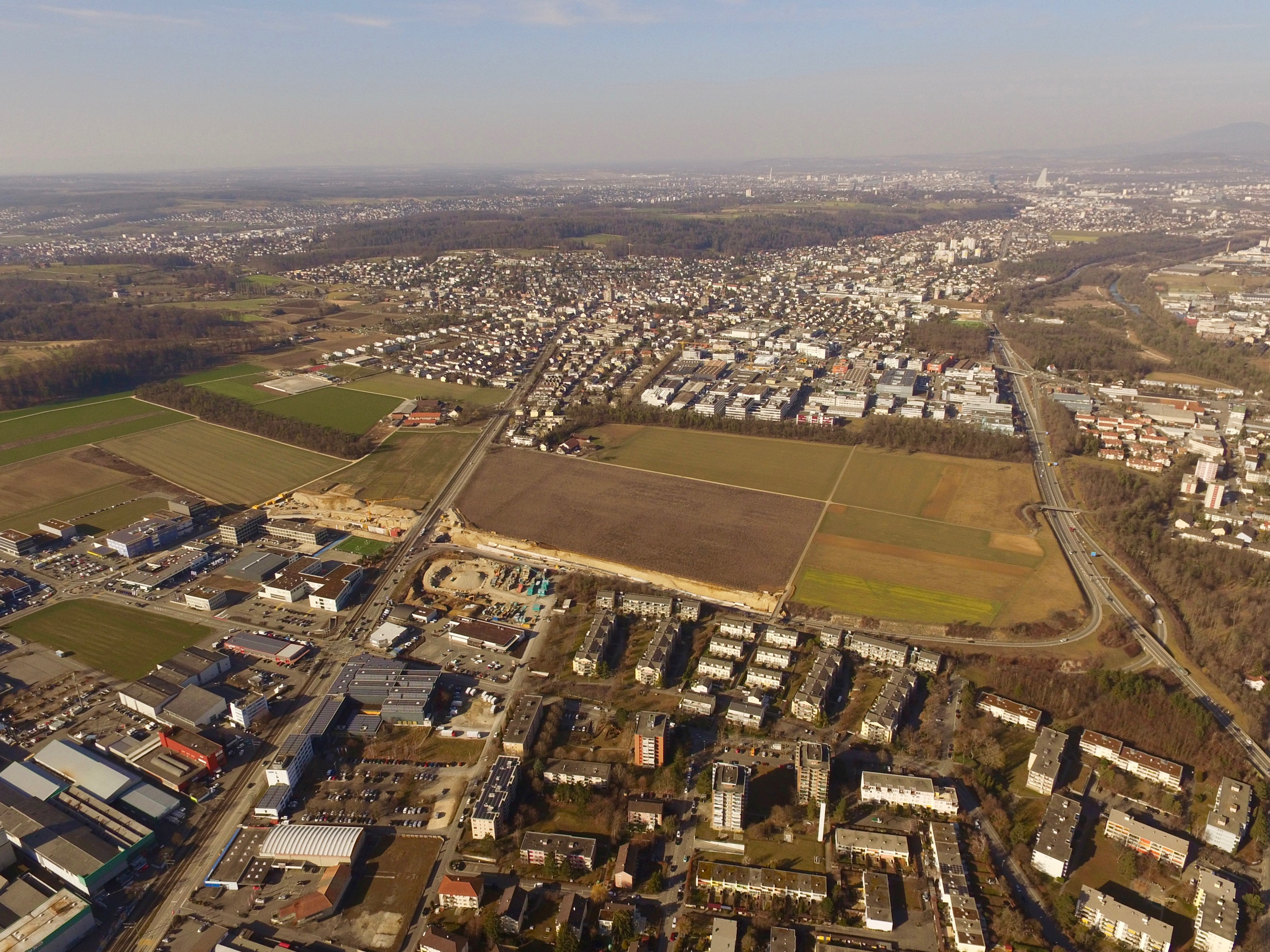 Immobilienmakler Reinach BL