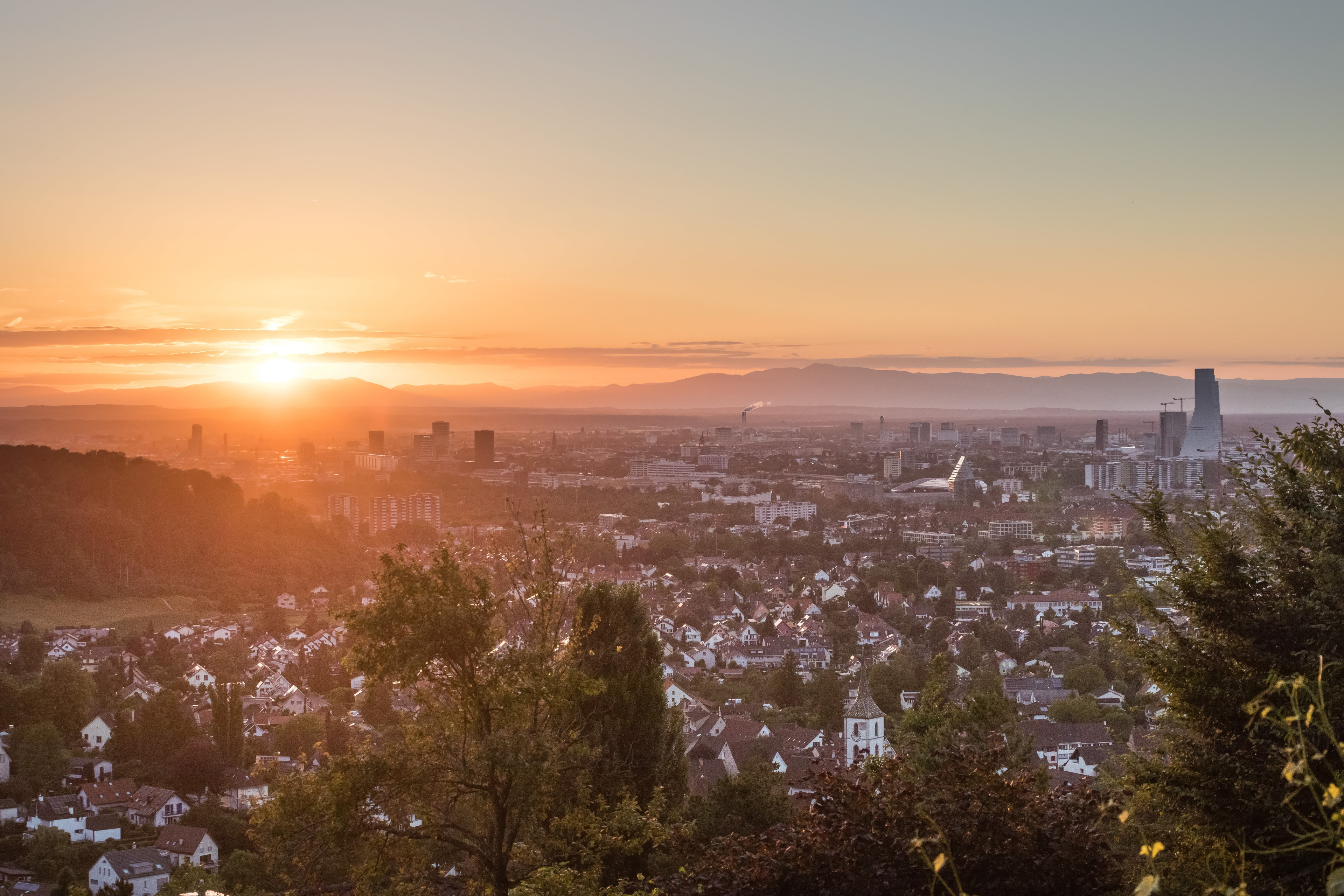 Immobilienmakler Muttenz