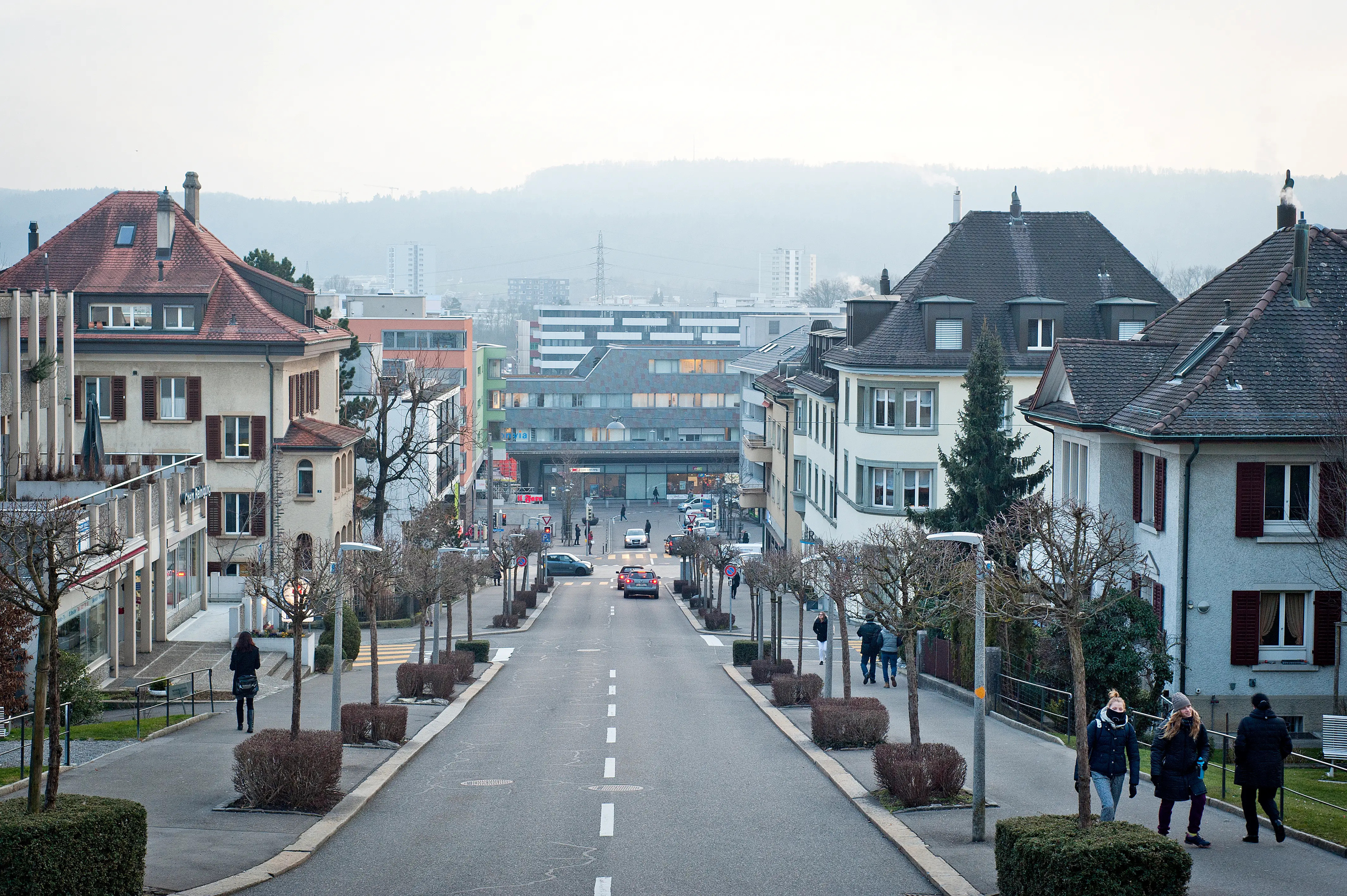 Immobilienmakler Wallisellen